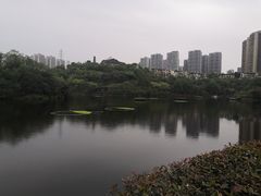 -重庆彩云湖湿地公园