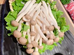 -湊湊火锅·茶憩(皇姑万象汇店)