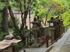 -奈良公园