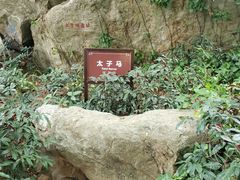 -宋井风景区