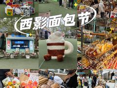 -西安电影制片厂