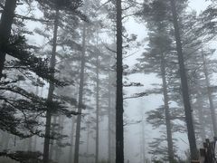-瓦屋山景区