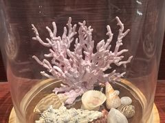 -青岛贝壳博物馆