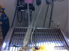 iphone_upload_pic-瑞派福兴宠物医院犬猫全科·骨科·中西医结合(河东店)