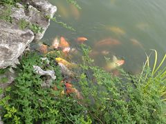 -檀园