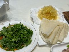 -丁老爷子苏香圆
