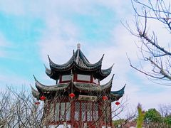 -上海海湾国家森林公园