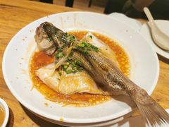 -新澳港式茶餐厅(余姚路店)