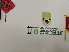 -艾吉宠物医院·疑难杂症转诊中心·猫友好(碧江路院)