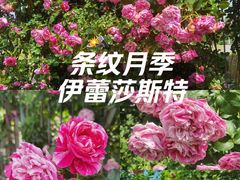 -太阳宫公园