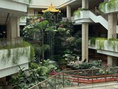 -白天鹅宾馆-宏图府餐厅