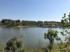 -东郊湿地公园