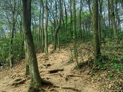 -西湖风景区十里琅珰-五云山