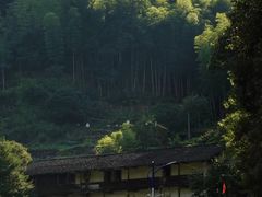 -途中饭店(开化店)