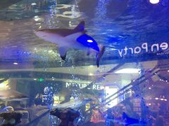 -凯德广场(学府店)