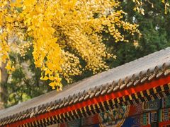 -中山公园