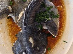 -红月湾海鲜饭店•沙滩海景(双月湾店)