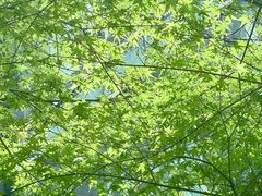 -弄堂里(阿里西溪A区店)