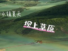 -丰宁坝上草原