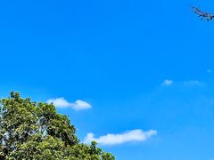-深圳湾公园(南山区)