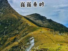 -秦岭风景区