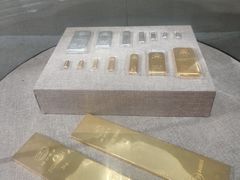 -烟台自然博物馆