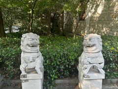 -白马涧龙池景区