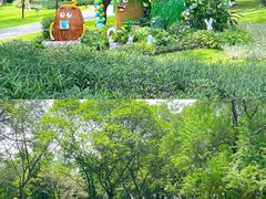 -云溪植物园