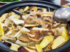 -菌之家·专业纯野生菌火锅·特色炒菌
