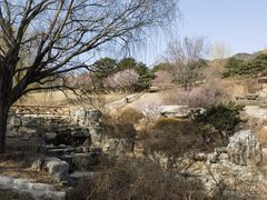 -北京西山国家森林公园