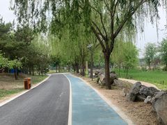 -老君堂公园