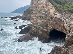 -杨梅坑