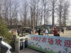 -1982农场