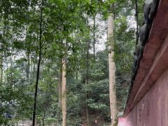 -都江堰普照寺