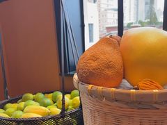 -滇野云南野生菌餐厅(陕西南路店)