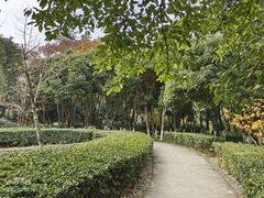 -塔子山公园
