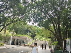 -华侨城湿地公园
