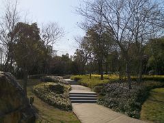 -南翔镇银翔湖公园