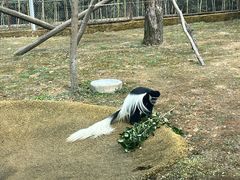 -杭州野生动物世界