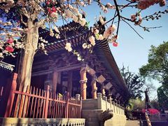 -晋祠公园