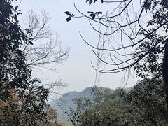 -缙云山景区