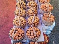 -塘栖枇杷特色园区