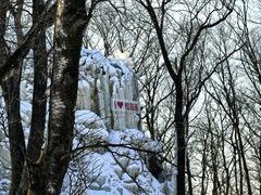 -中旅松花湖滑雪场