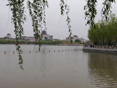 -莲花池公园