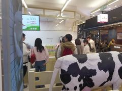 -红星前进面包牛奶公司(君太店)