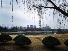 -滨湖塘西河公园