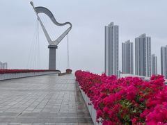 -厦门园林博览苑