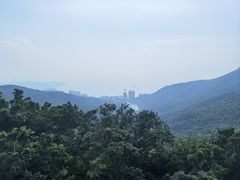 -太平山顶