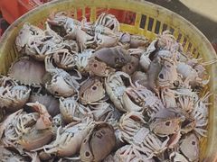 -硇洲岛旅游区