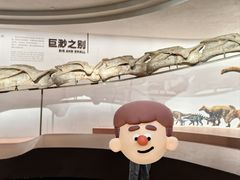 -自贡恐龙博物馆